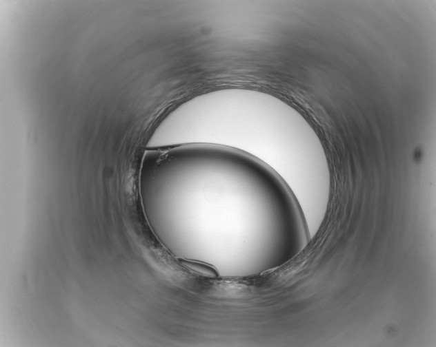 X0000094380380200711020830