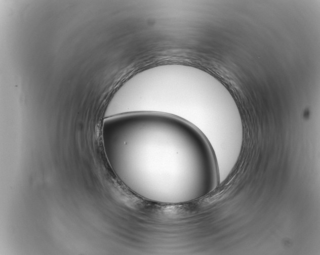 X0000094380382200711020831