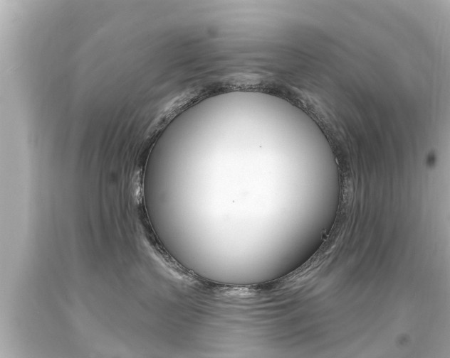 X0000094380383200711020831