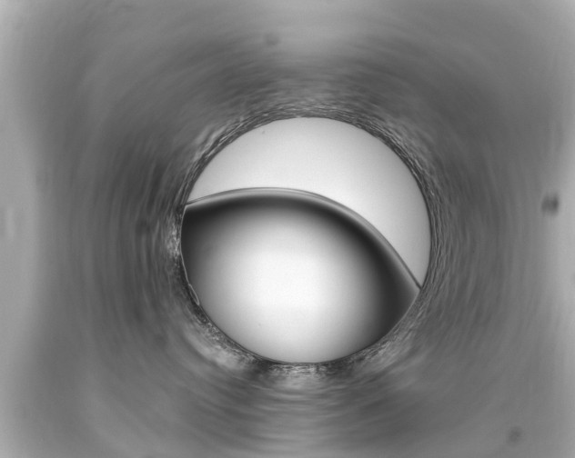X0000094380384200711020831
