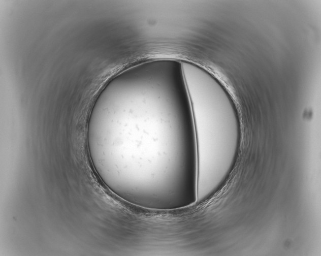 X0000094380385200711020830