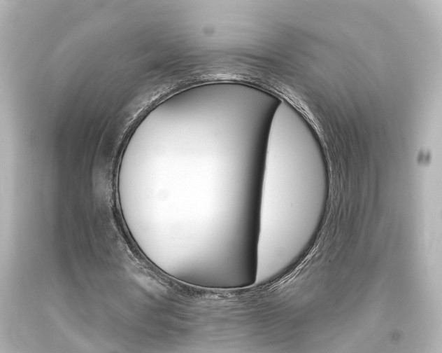 X0000094380386200711020830