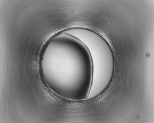 X0000094380387200711020830