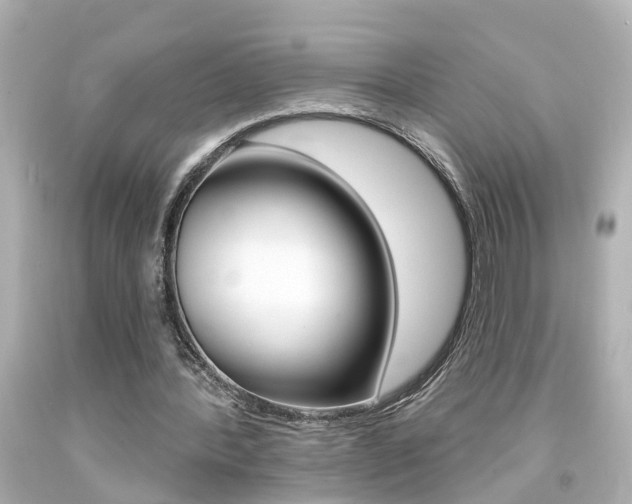 X0000094380388200711020830