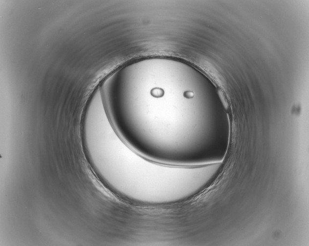 X0000094380389200711020830