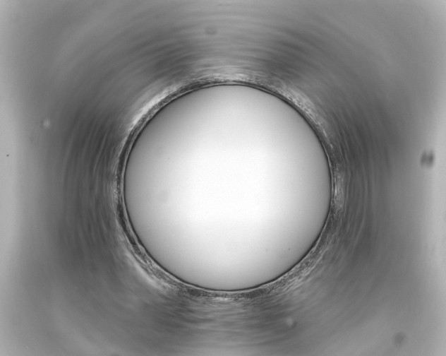 X0000094380390200711020830