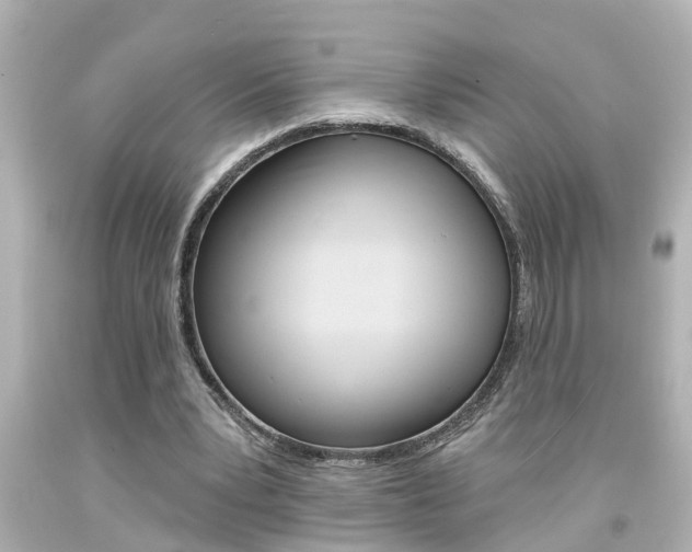 X0000094380391200711020830