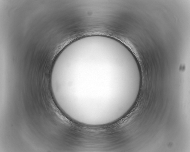 X0000094380393200711020830