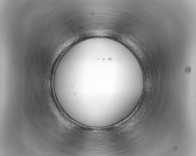 X0000094380394200711020830