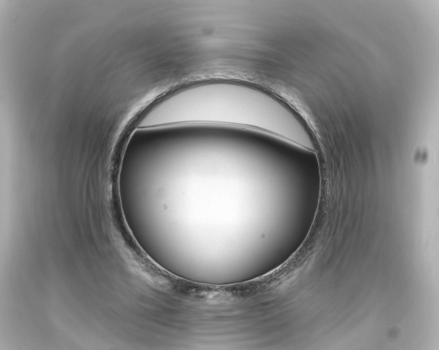 X0000094380395200711020830