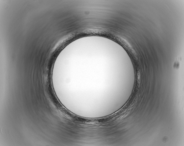 X0000094380396200711020830
