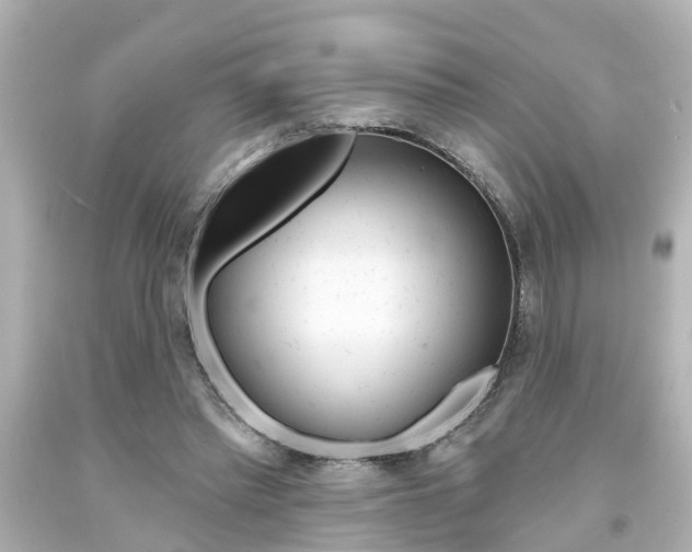 X0000094380397200711020830