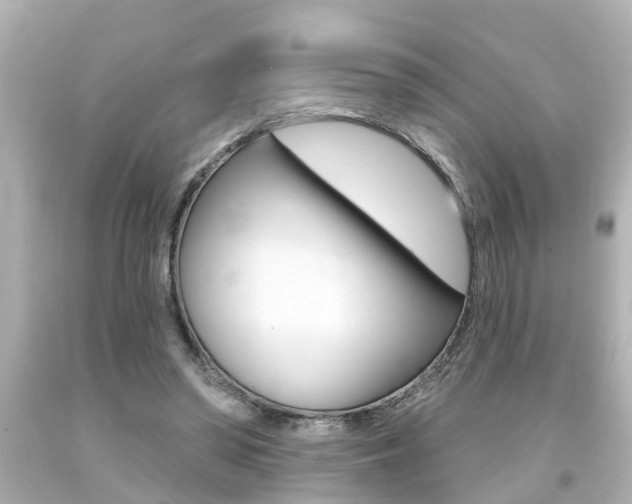 X0000094380398200711020830