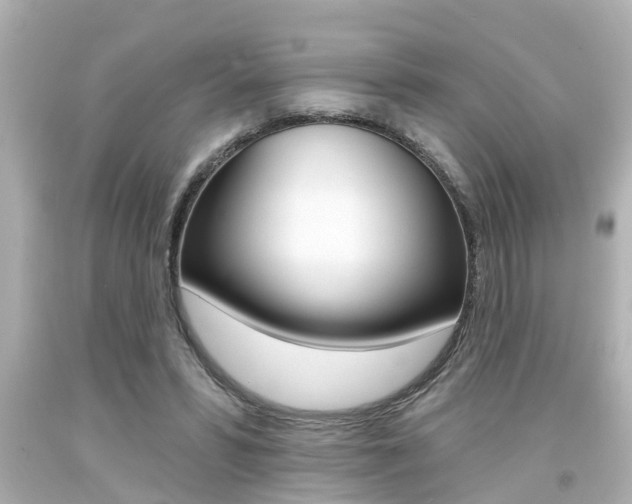 X0000094380399200711020830