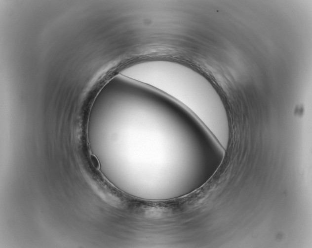 X0000094380400200711020829