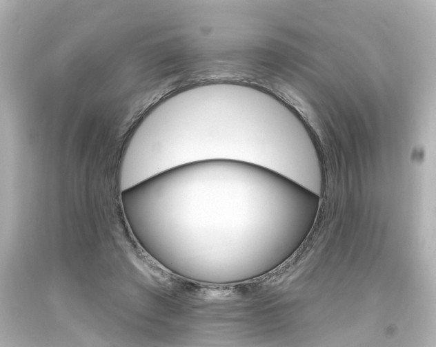 X0000094380401200711020829