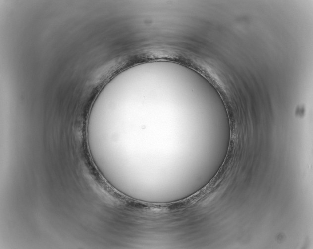 X0000094380402200711020829