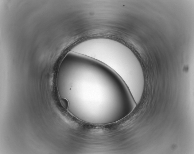 X0000094380404200711020829