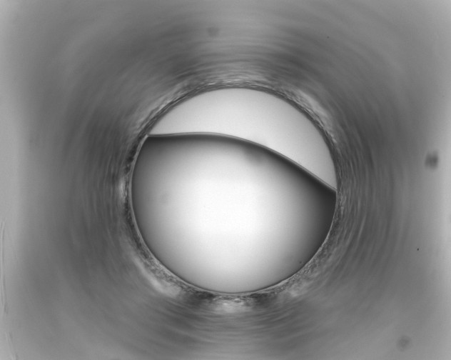 X0000094380405200711020829