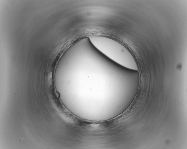 X0000094380406200711020829
