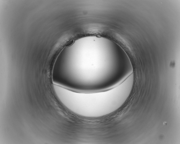 X0000094380407200711020829
