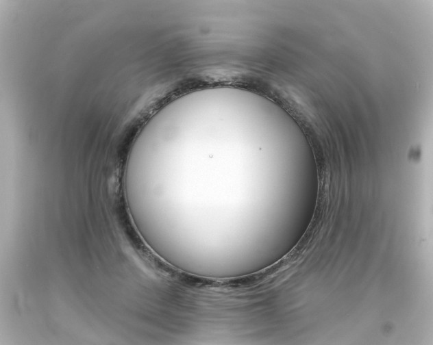 X0000094380408200711020829