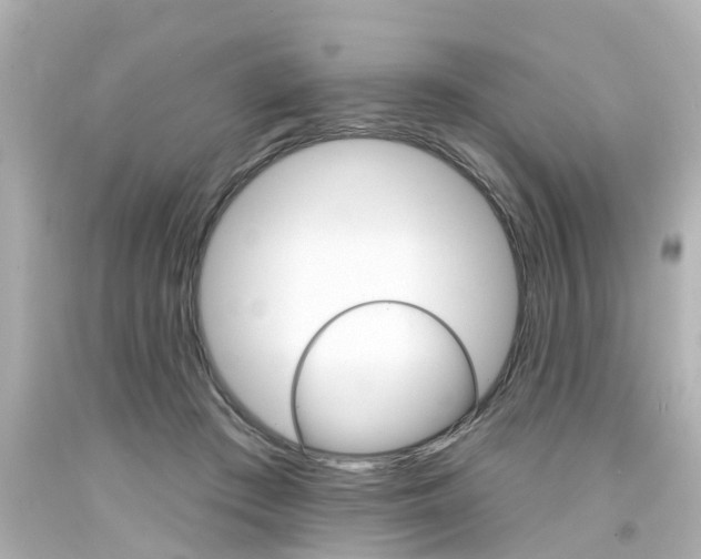 X0000094380409200711020829