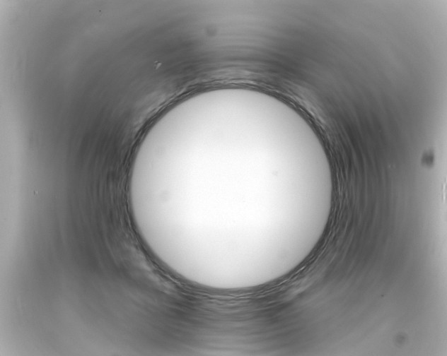 X0000094380411200711020829