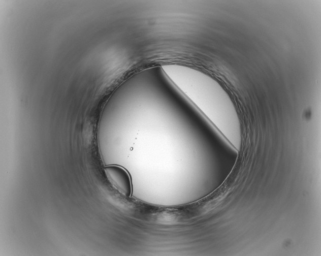 X0000094380412200711020829