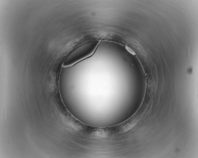 X0000094380416200711020829