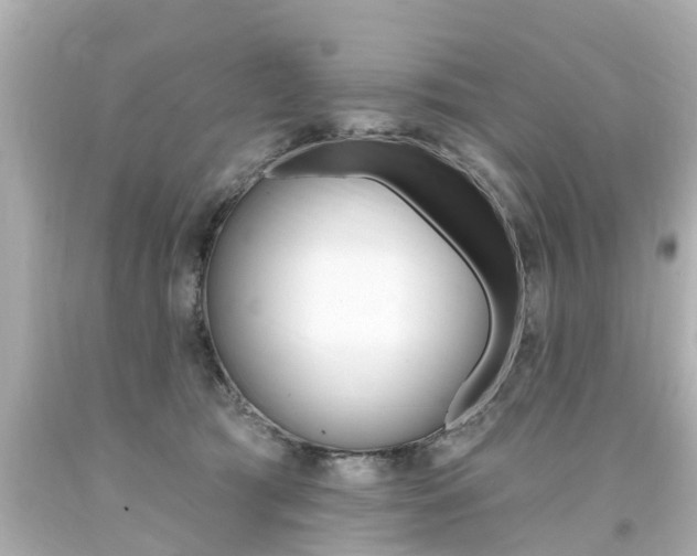 X0000094380417200711020829