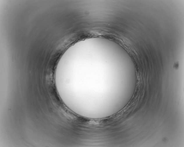 X0000094380418200711020829