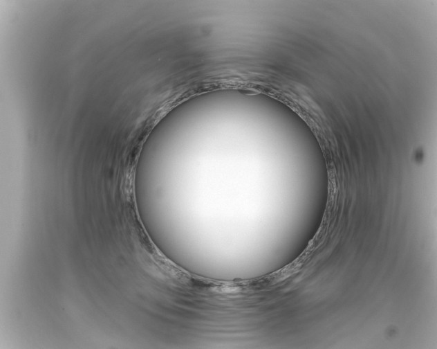 X0000094380419200711020829