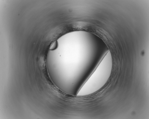 X0000094380420200711020829