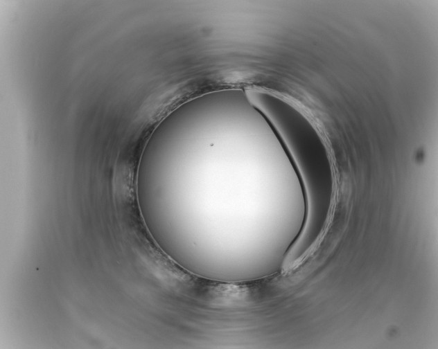 X0000094380421200711020829
