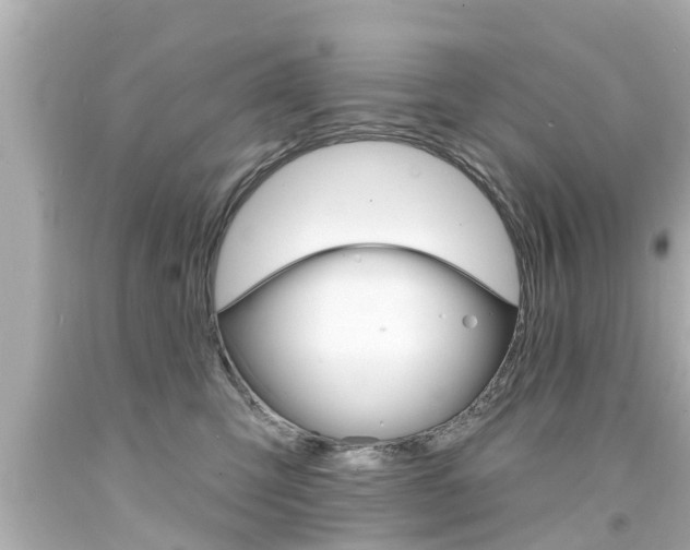 X0000094380423200711020829