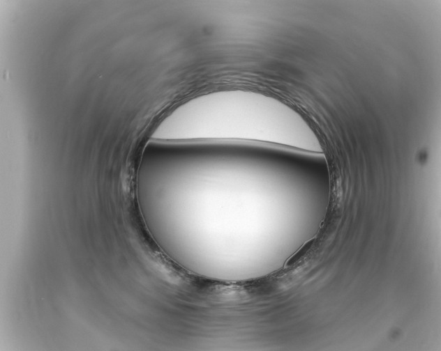 X0000094380424200711020829