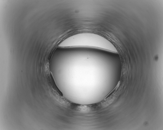 X0000094380425200711020829
