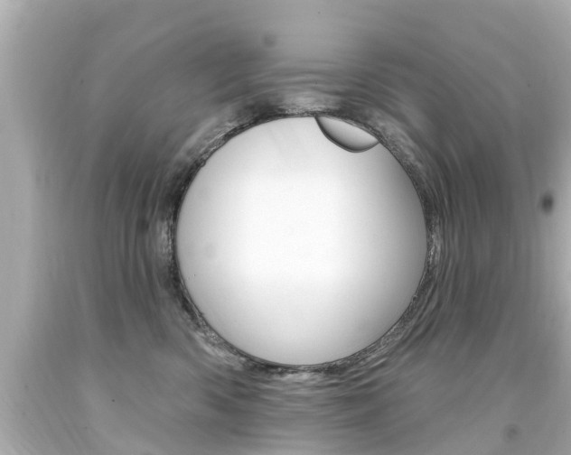 X0000094380426200711020829