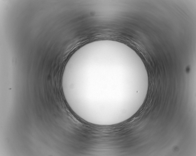 X0000094380428200711020829