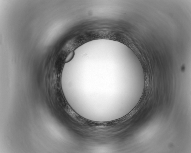 X0000094380430200711020829