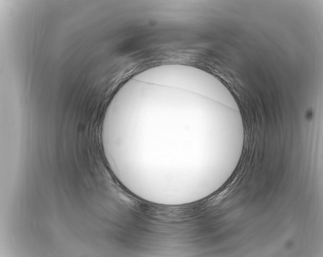X0000094380431200711020829