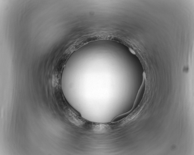 X0000094380432200711020829