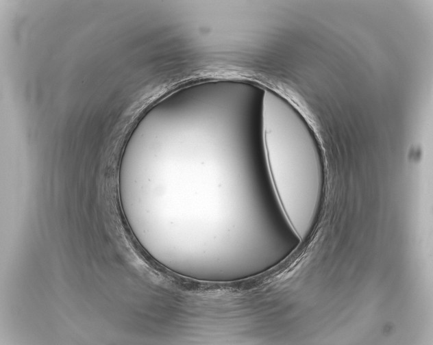 X0000094380433200711020828