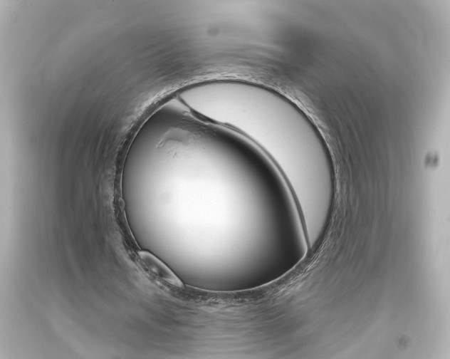 X0000094380434200711020828
