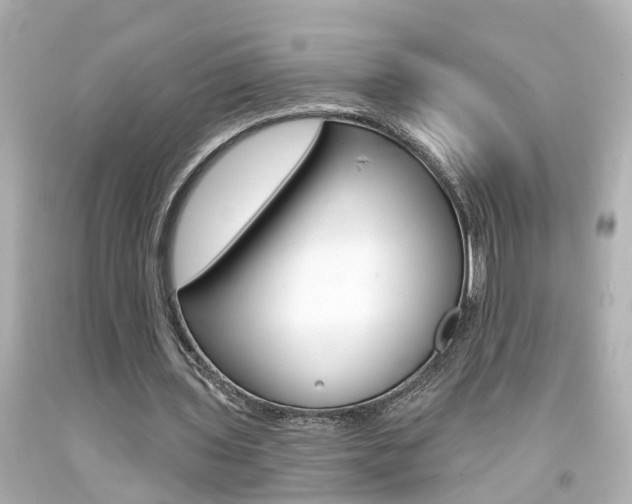 X0000094380435200711020828