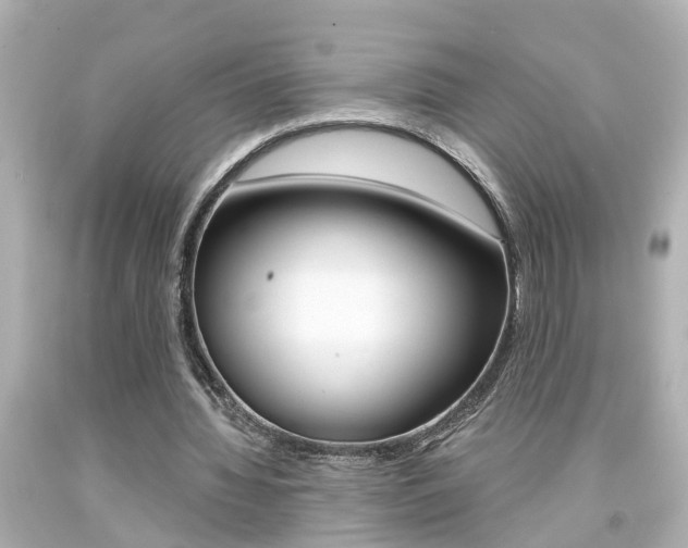 X0000094380436200711020828