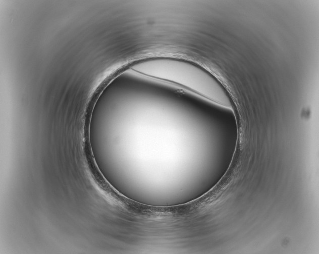 X0000094380438200711020828
