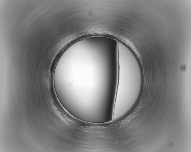 X0000094380439200711020828