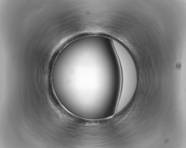 X0000094380440200711020828